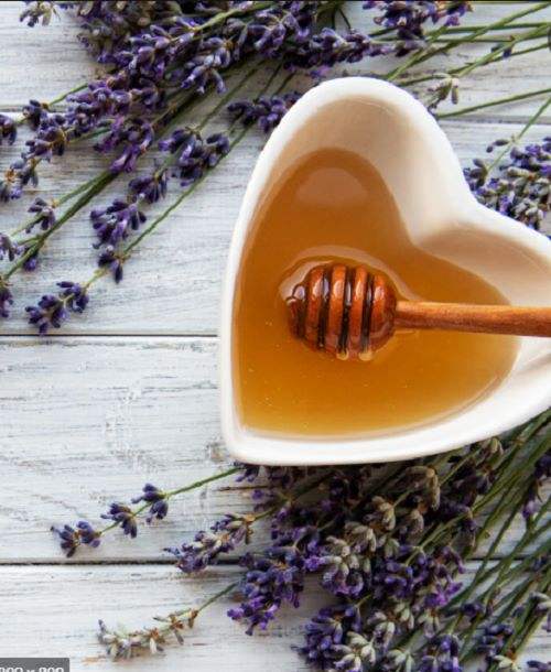 Heather Hills Lavender Honey 4Oz