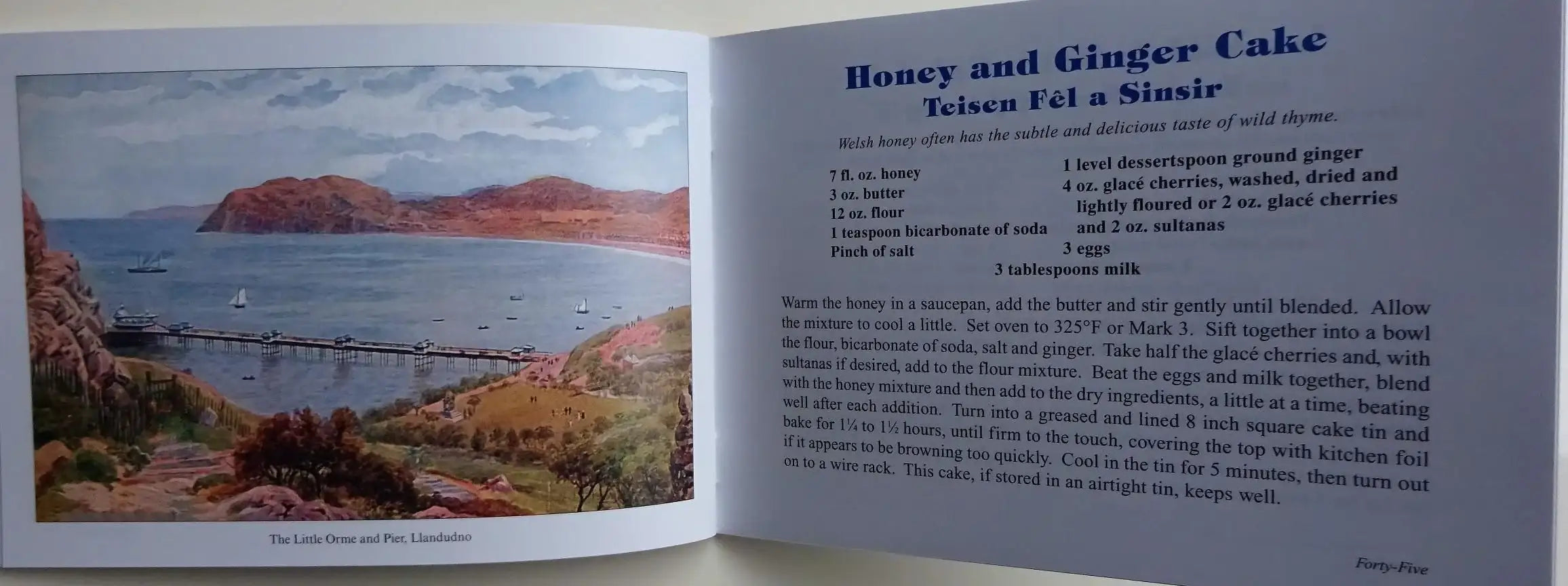 Salmon Favourite Welsh Teatime Recipes Book