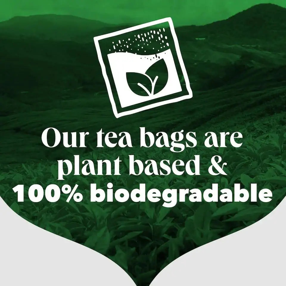PG Tips 40-count (non-pyramid teabags) 116g