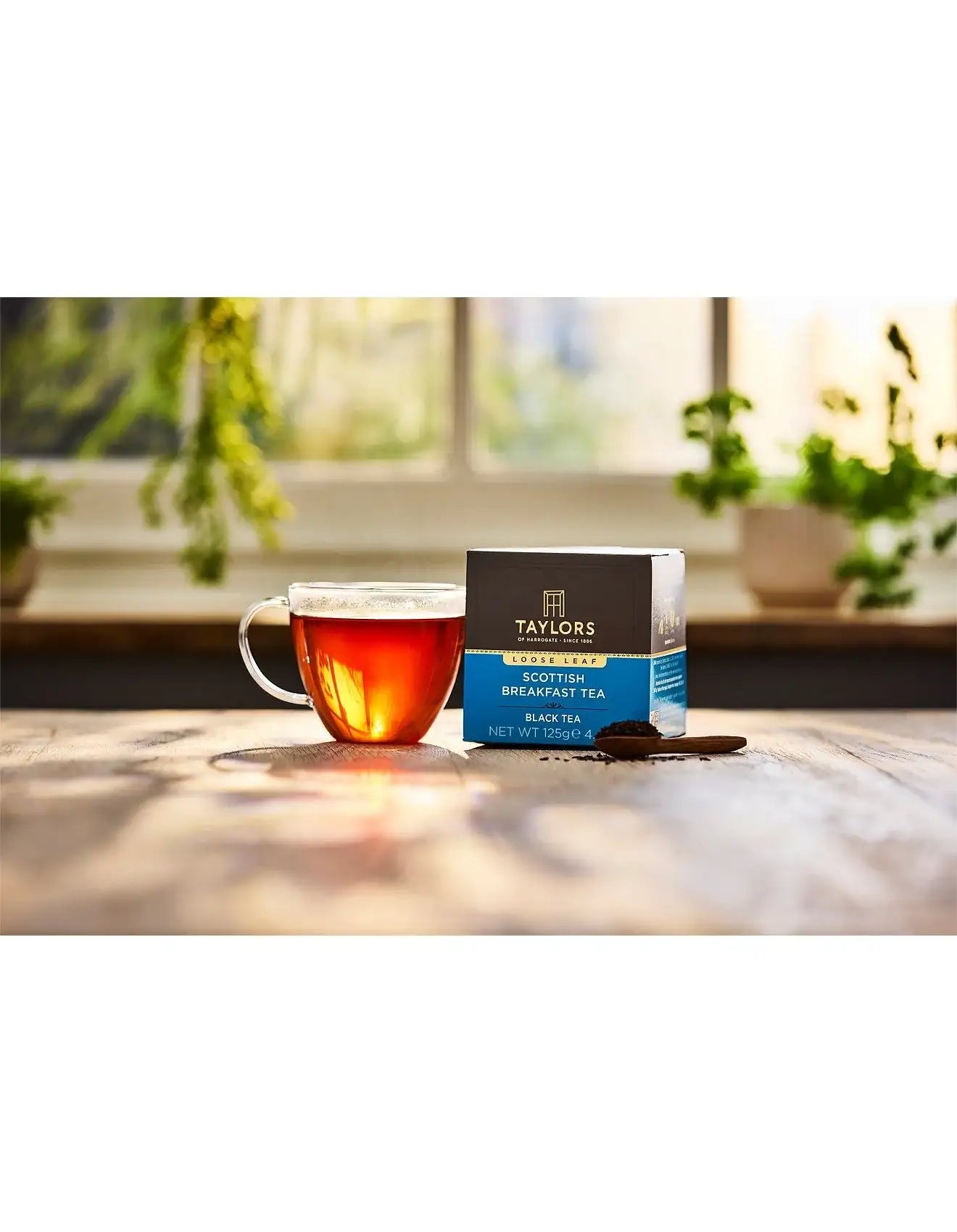 Taylors of Harrogate Scottish Breakfast Loose Leaf Tea 4.4oz Box