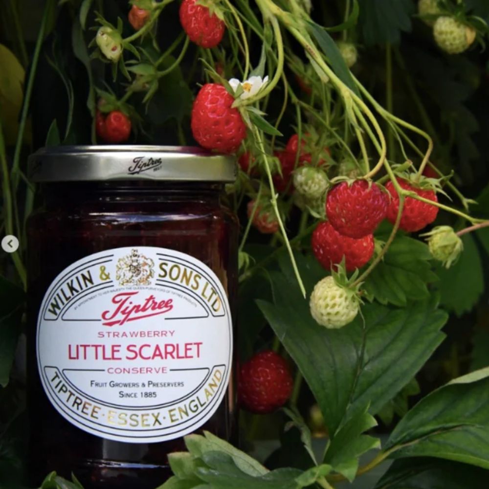 Tiptree Little Scarlet Strawberry Conserve, 12 Ounce